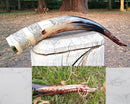 Hand engraved Large Viking Horn(18-22") Game of Thrones