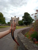 Hand engraved Large Viking Horn(18-22") Game of Thrones