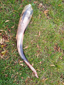 Hand engraved Large Viking Horn(18-22") Game of Thrones