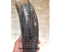 Hand Carved Large Viking Drinking Horn with Iron Stand - Viking Compass