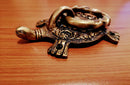 Aged Handmade Turtle Brass Door Knocker, Brass Tortoise door knocker
