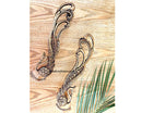 Brass Peacock Door Handles (Bronze) - Set of 2 Peacock Door Handles| 11 inches