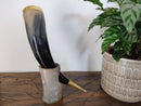 X-Large Viking Drinking Horn(13-15") with stand, Horn with brass border and tail