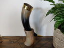 X-Large Viking Drinking Horn(13-15") with stand, Horn with brass border and tail